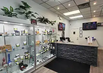 Team Cannabis Shop