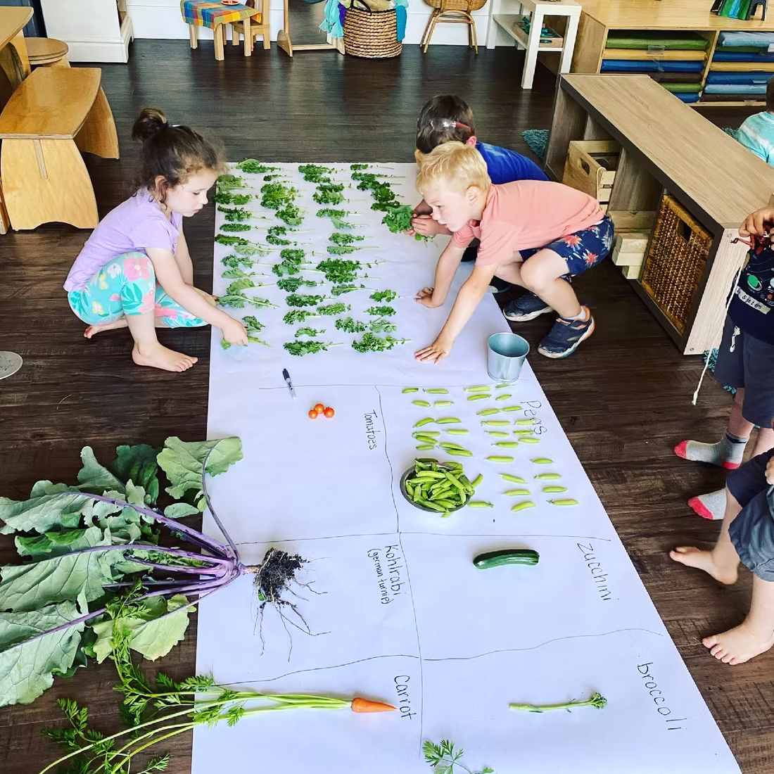 West Coast Early Learning Centre | Surrey Daycare TI gallery photo 7