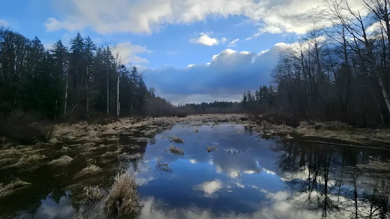 Township of Langley thumbnail